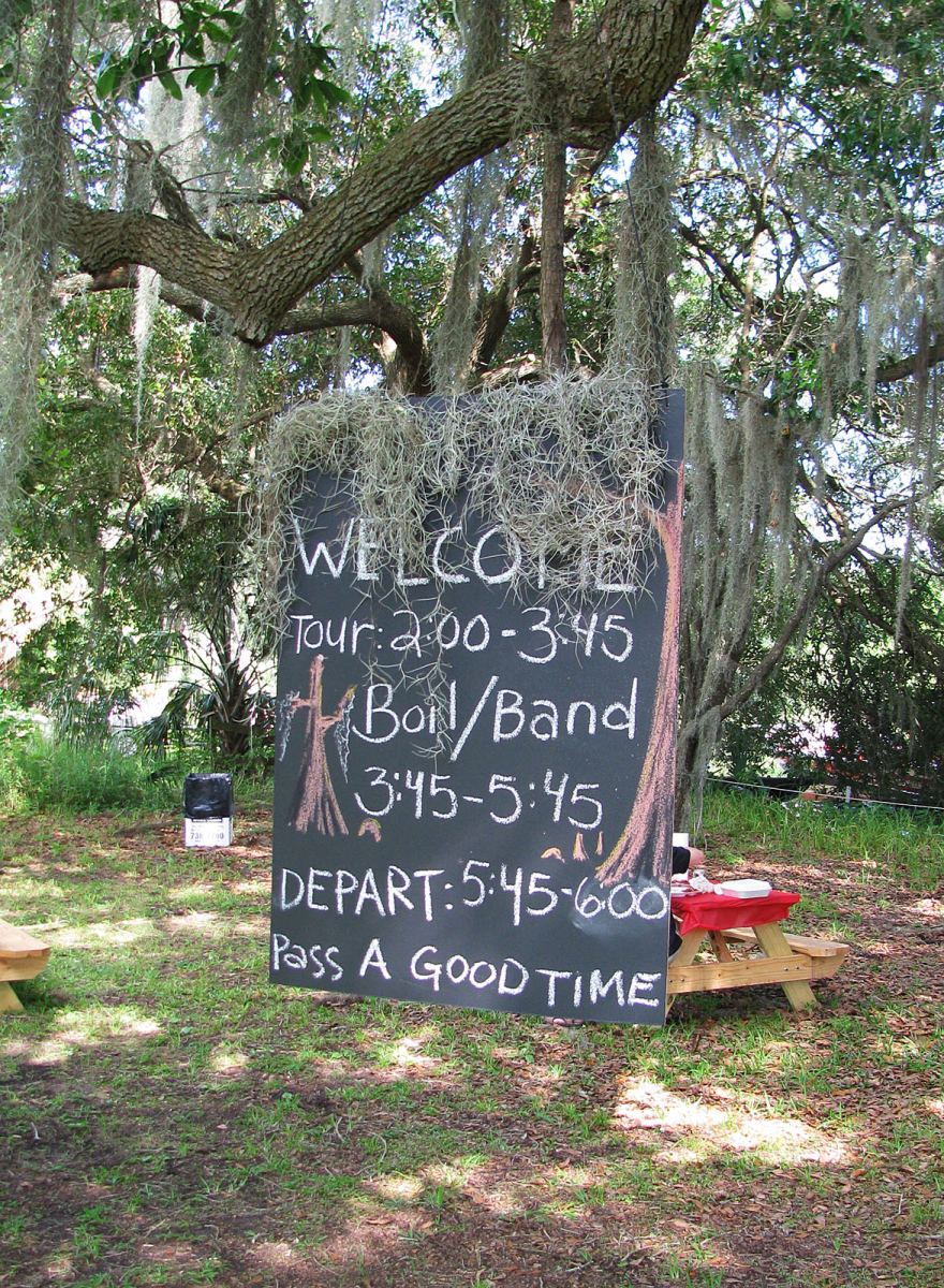 new orleans swamp tour